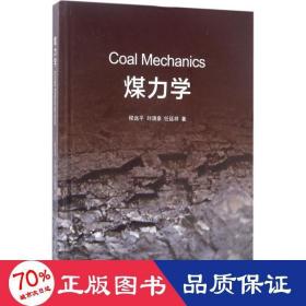 煤力学 能源科学 程远,刘清泉,任廷祥  新华正版