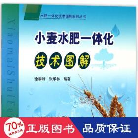 小麦水肥一体化技术图解 种植业 编者:涂攀峰//张承林