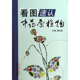 看图速认原植物 普通图书/医药卫生 潘超美 中国医 9787513211857