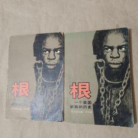 根（上下）