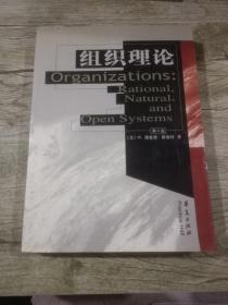 组织理论（第4版）
