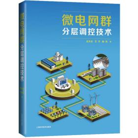 微电网群分层调控技术 水利电力 吕天光,艾芊,郝然 新华正版