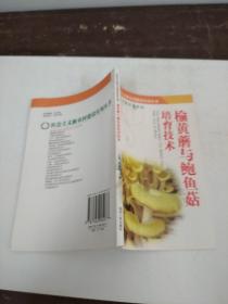 榆黄磨与鲍鱼菇培育技术