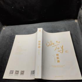 欢乐颂：刘涛、王凯主演电视剧原著小说 2