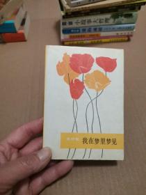 我在梦里梦见