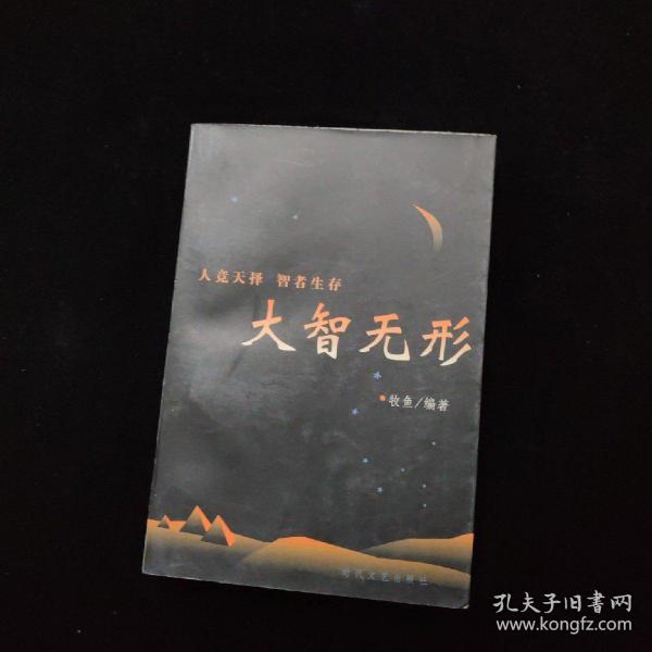 大智无形 一版一印
