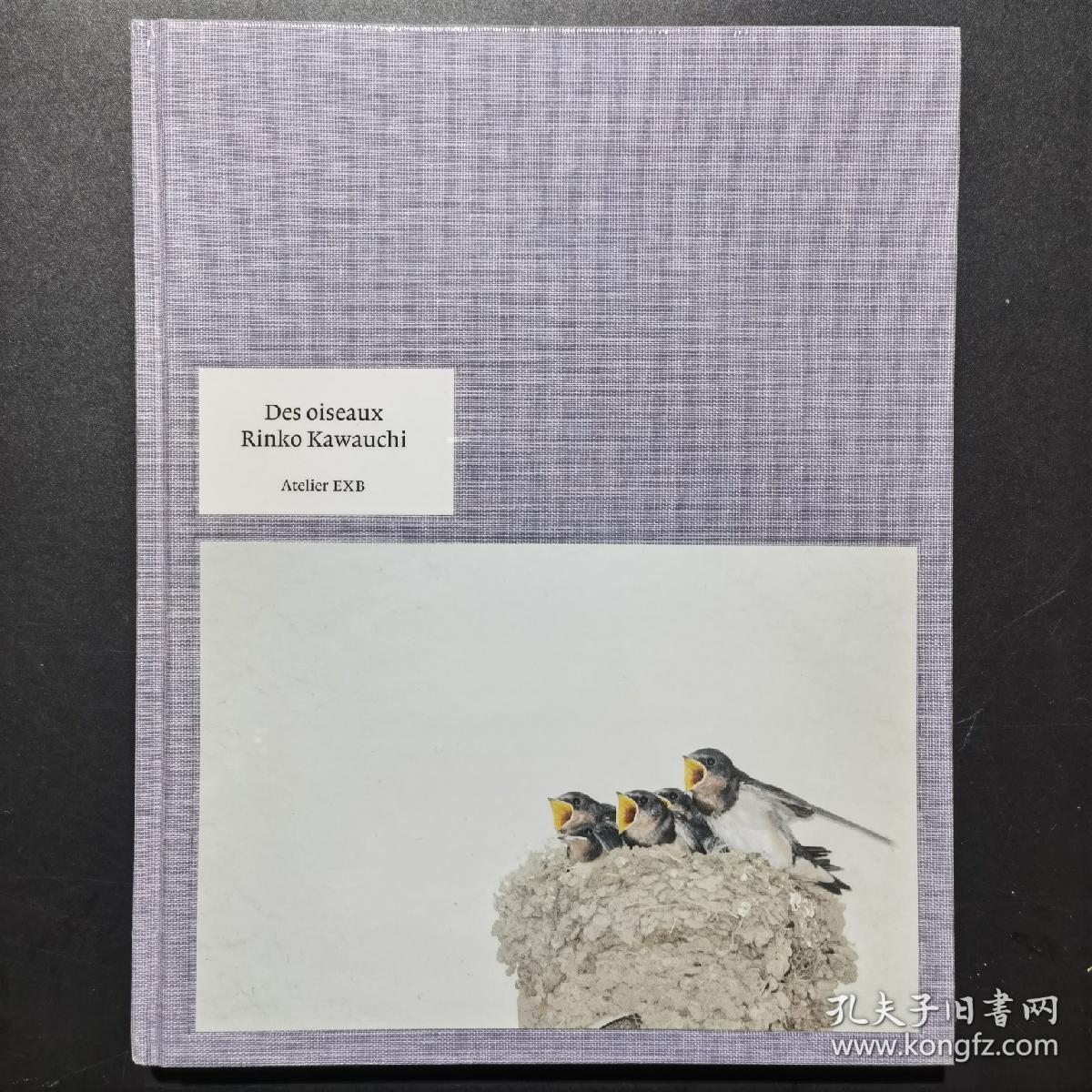 现货川内伦子摄影集鸟类des Oiseaux 英文原版进口作品集写真集rinko Kawauchi 孔夫子旧书网 现货川内伦子摄影集鸟类des Oiseaux 英文原版进口作品集写真集rinko Kawauchi 孔夫子旧书网