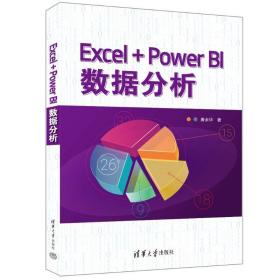 保正版！EXCEL+POWER BI数据分析9787302645337清华大学出版社唐永华