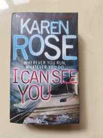 I Can See You Karen Rose 我能看见你凯伦·罗斯