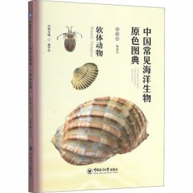 【正版新书】中国常见海洋生物原色图典:软体动物