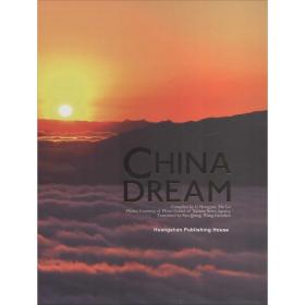 【库存书】China dream
