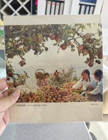 1978年出版物画页《在苹果园里》（亚洲妇女摄影竞赛一等奖）魏秀金摄影作品