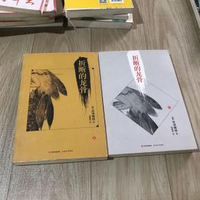 打断的龙骨，上下册