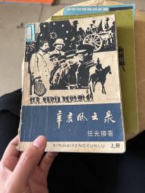 辛亥风云录（上册）