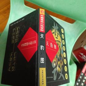 中国禁毁小说百部《天豹图》