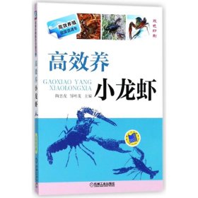 【正版书籍】高效养小龙虾