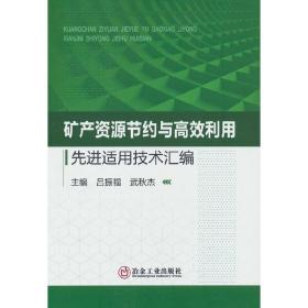 矿产资源节约与高效利用先进适用技术汇编吕振福，武秋杰 著冶金工业出版社