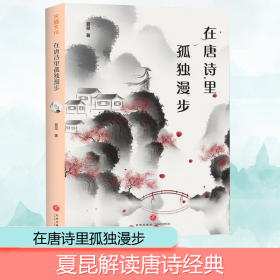 在唐诗里孤独漫步 中国古典小说、诗词 夏昆 新华正版