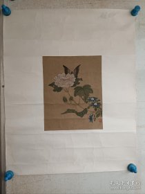 老绢本工笔画花卉蝴蝶一副，无落款，有印章不识，镜心旧裱，画心尺寸28x22