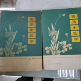 实用中医学 上下
