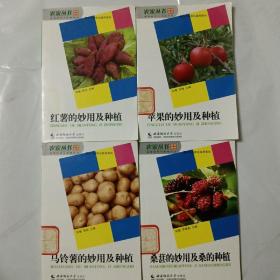 红薯的妙用及种植（红薯苹果马铃薯桑椹四本）植物妙用与种植系列