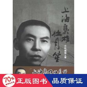 上海枭雄杜月笙 中国历史 小杜城南