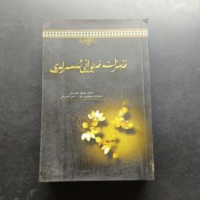 艾尼扎提·艾于熱尼作品選