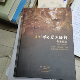 栾川旧石器遗址群考古报告2010一2016年度