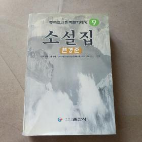 中国朝鲜民族文学大系 小说集 9 朝鲜文