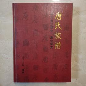 唐氏族谱（四川合江坝中一浩公宗支）