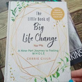 The Little Book of Big Life Change: A Nine-Part Journey to Feeling Whole