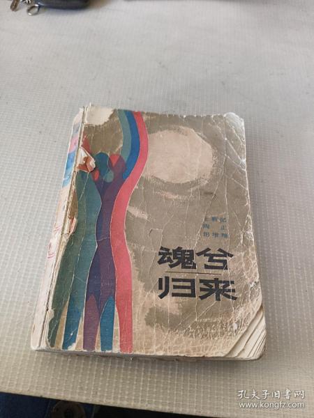 魂兮归来