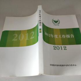 2012年度工作报告