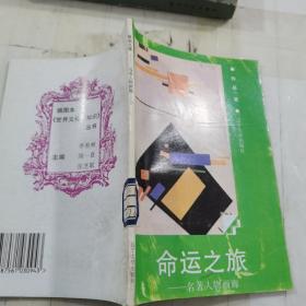 命运之旅 名著人物画廊