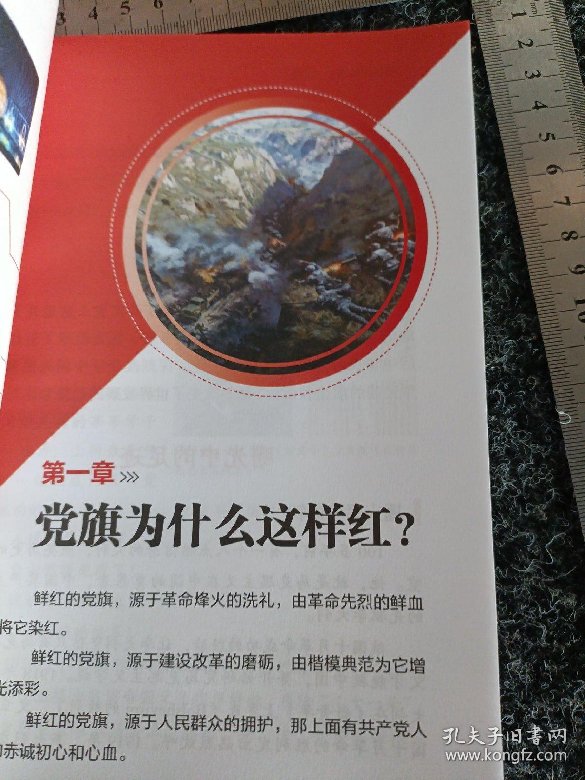 党旗引领我成长中学版