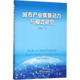 正版NY 城市产业集聚动力与模式研究 吴丰林 9787513050166