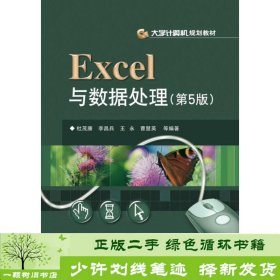 书籍品相好择优Excel与数据处理第5版杜茂康电子工业出版社杜茂康电子工业出版社9787121219993