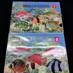K1  中国海洋鱼类原色图集1-2【两册合售】