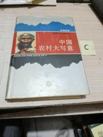 中国农村大写意1993出版