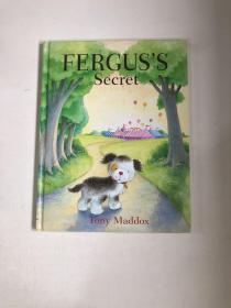 Fergus's Secret