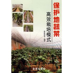 【正版新书】保护地蔬菜高效栽培模式