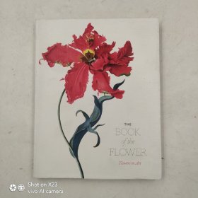 The Book of the Flower: Flowers in Art 花之书:艺术之花