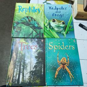 USBORNEBEGINNERS：trees+spiders+reptiles+tadpolesandfrogs（4本合售）