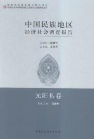 【正版新书】中国民族地区经济社会调查报告-元阳县卷