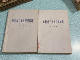 中国社会主义经济问题 上下二册全