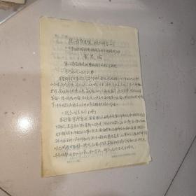 贾若瑜钢笔手写稿5页！！！