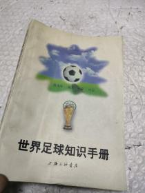 世界足球知识手册