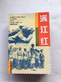 满江红：中国革命斗争报告文学丛书.江南抗战卷