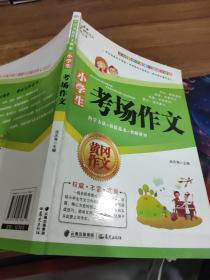小学生考场作文  平装