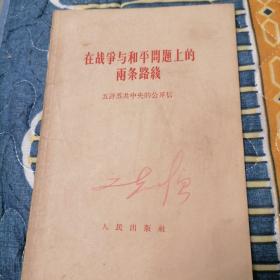 在战争与和平问题上的雨条路线